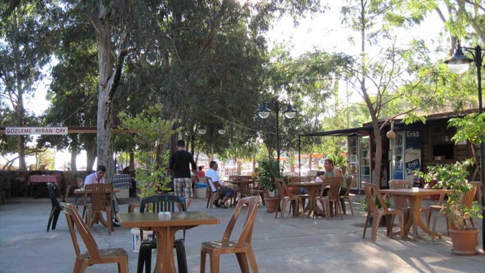 Turunç Tea Garden - start of the day