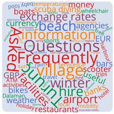 FAQ Word Cloud