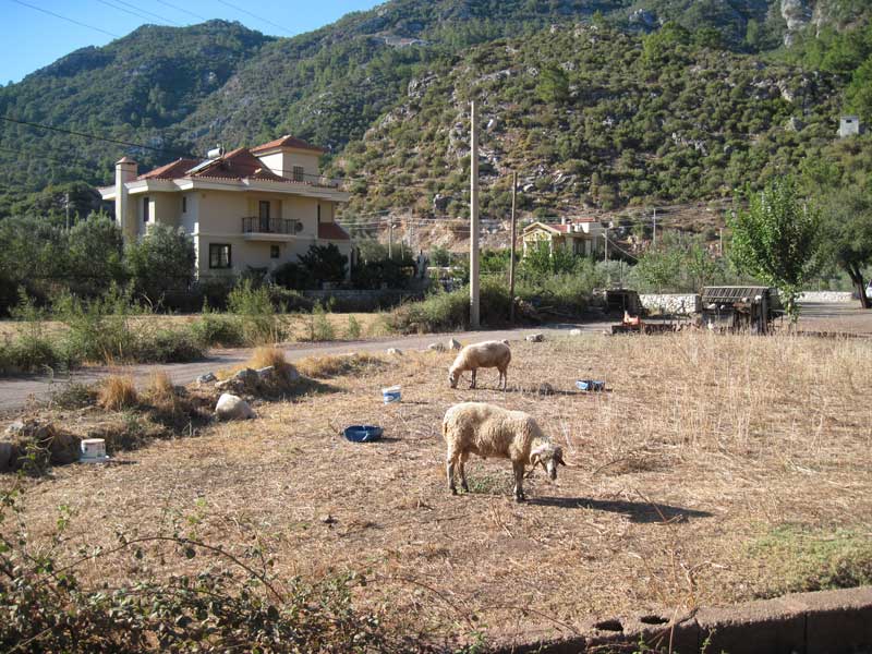 Turunç village