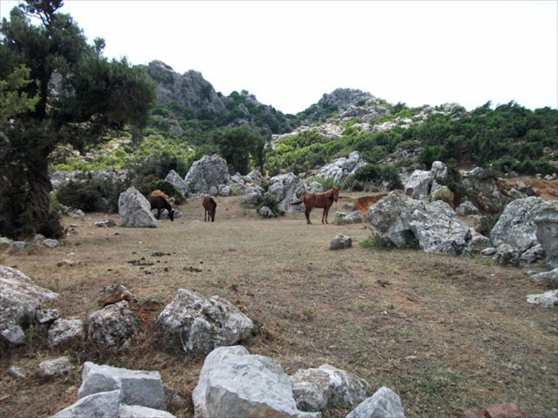 Between Selimiye and Sögüt at the top of the mountain