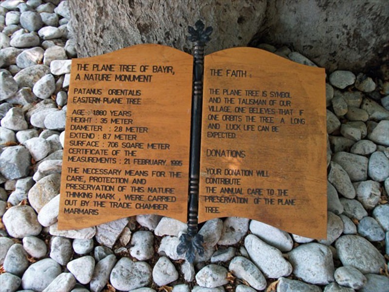 Bayir Village - Plaque at the foot of the fertility tree